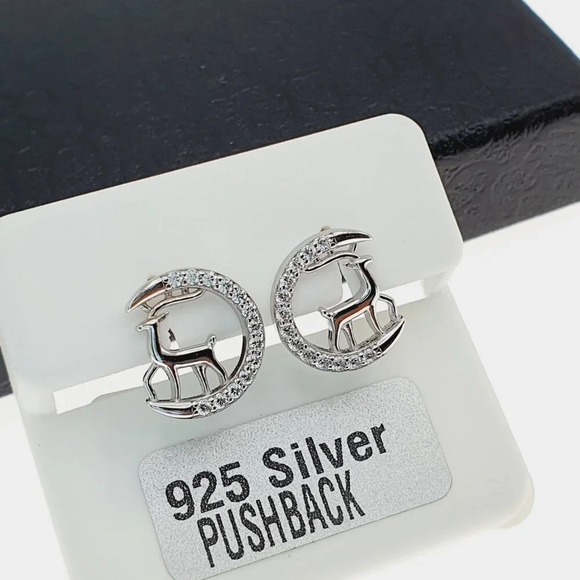 "925 sterling silver luxury CZ earrings for women/girls, Best for RJUS2226 - Picture 2 of 10